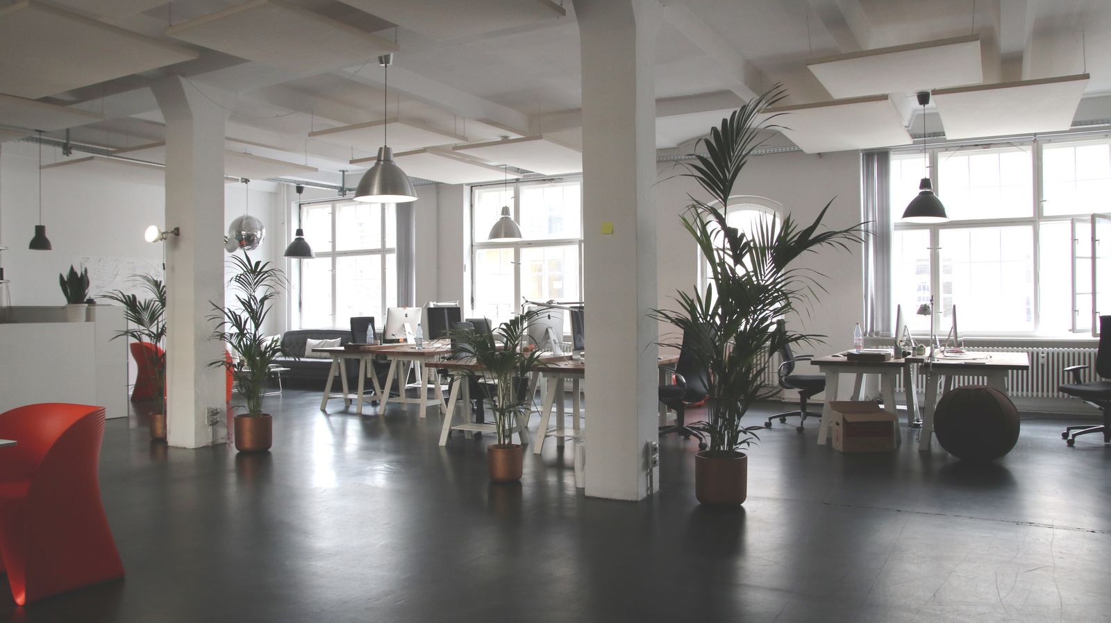 Loft office with plants and pendant lights